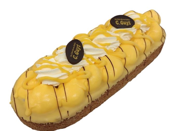 Bomsguijt advocaat